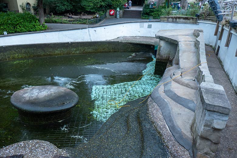 Seelöwen-Becken zu Beginn des Großreinemachens am 7. August 2024 im Zoo Wuppertal