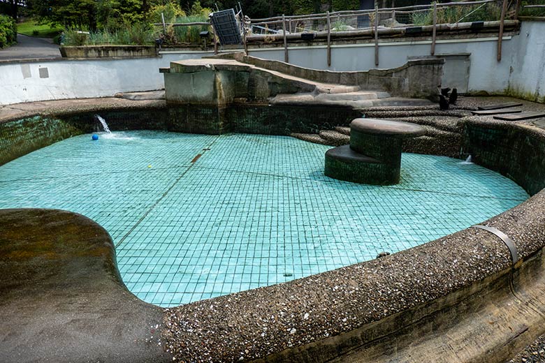 Einlauf des frischen Wassers im Seelöwen-Becken nach dem Großreinemachen am 7. August 2024 im Zoo Wuppertal