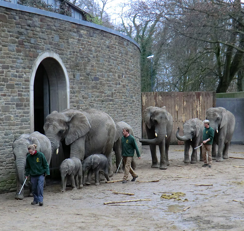 Elefantenkinder im Zoo Wuppertal im Februar 2011