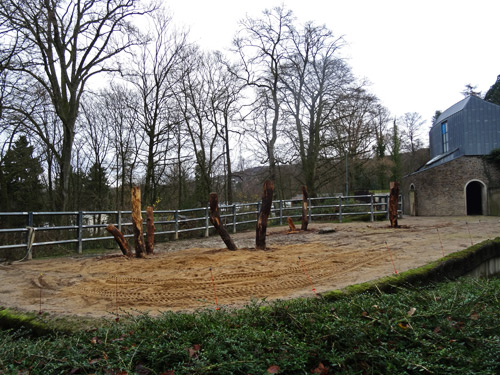 Neue Scheuerbäume am 19. Dezember 2015 auf der Anlage für den Afrikanischen Elefantenbullen "Tusker" im Zoologischen Garten Wuppertal