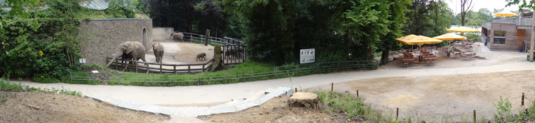 Besucher-Tribüne an der Elefantenanlage am 9. Juli 2016 im Wuppertaler Zoo