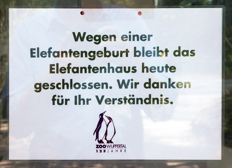 Information "Wegen einer Elefantengeburt bleibt das Elefantenhaus heute geschlossen." am 20. April 2019 an der Tür zum Elefanten-Haus im Grünen Zoo Wuppertal