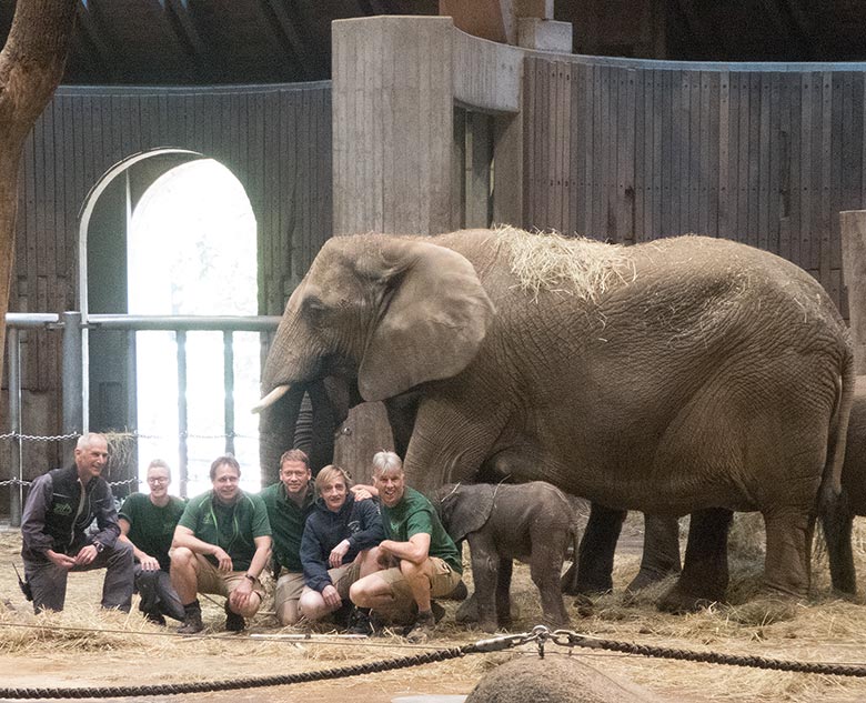Zoodirektor Dr. Lawrenz und das Tierpflegerteam der Afrikanischen Elefanten gruppierten sich mit der Afrikanischen Elefanten-Kuh SABIE und dem 24 Stunden vorher geborenen männlichen Elefanten-Kalb GUS am 21. April 2019 im Elefanten-Haus im Grünen Zoo Wuppertal zu einem Erinnerungsbild