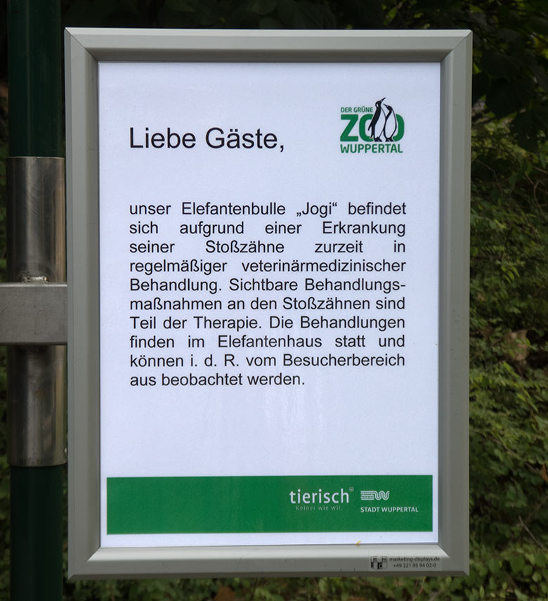 Aushang am 5. Juli 2019 im Grünen Zoo Wuppertal zur Behandlung einer Erkrankung der Stoßzähne beim Afrikanischen Elefantenbullen JOGI