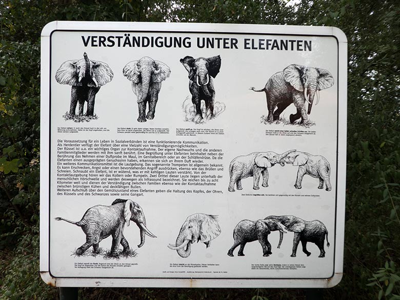 Informations-Tafel Verständigung unter Elefanten am 19. September 2019 an der Elefanten-Außenanlage im Zoologischen Garten Wuppertal