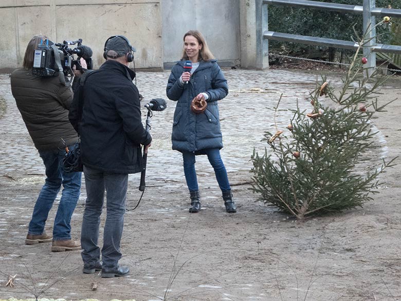 WDR Reporterin Yvonne Peterwerth am 6. Januar 2020 auf der Außenanlage am Elefanten-Haus im Grünen Zoo Wuppertal