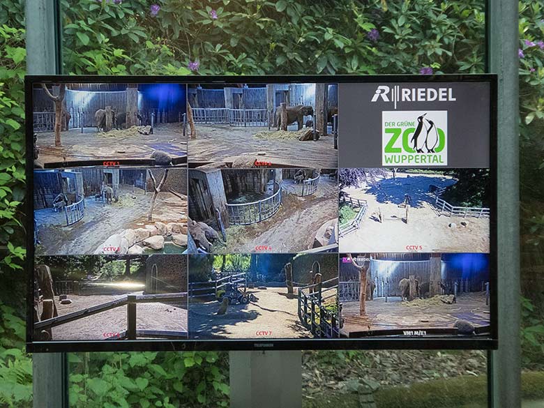 Monitoring der sieben Web-Cameras am 28. Mai 2020 im Elefanten-Haus im Grünen Zoo Wuppertal