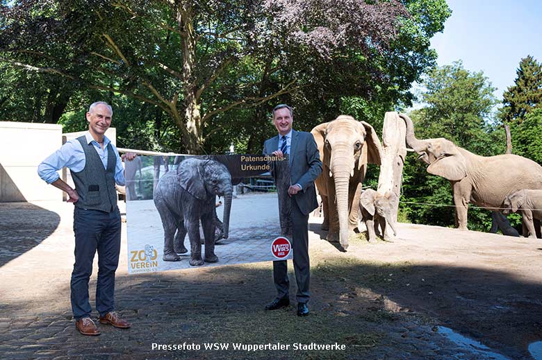 Zoodirektor Arne Lawrenz (links) und der WSW-Vorstandsvorsitzende Markus Hilkenbach besiegelten mit der Übergabe der Urkunde die Patenschaft der WSW für den im April geborenen Elefanten KIMANA (Pressefoto WSW Wuppertaler Stadtwerke)