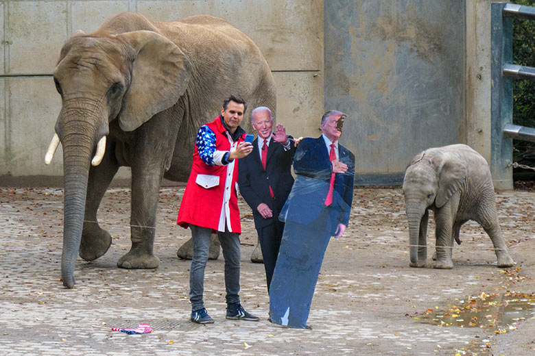 TV-Reporter mit den Präsidentschafts-Kandidaten Biden und Trump am 27. Oktober 2020 am Elefanten-Haus im Zoo Wuppertal vor der Elefanten-Kuh SWENI und dem Jungtier TSAVO