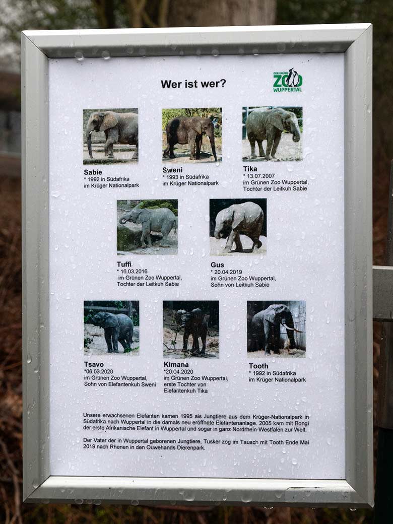 Information "Wer ist wer?" zu den Afrikanischen Elefanten am 16. März 2021 an der Außenanlage im Grünen Zoo Wuppertal