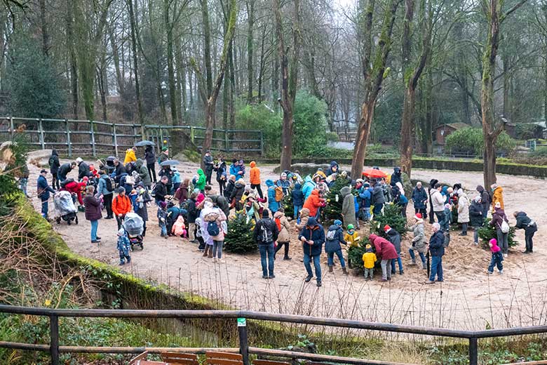 Zoogäste beim Schmücken der Nadelbäume am 20. Dezember 2023 auf der größeren Außenanlage im Grünen Zoo Wuppertal