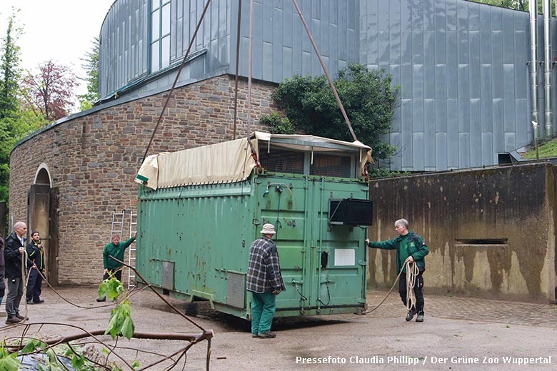 Transport-Container mit der Afrikanischen Elefanten-Kuh SWENI am 3. Mai 2024 bei der Verladung auf den Tieflader im Zoologischen Garten Wuppertal (Pressefoto Claudia Philipp - Der Grüne Zoo Wuppertal)