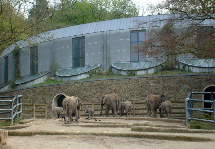Gehegereinigung bei den Afrikanischen Elefanten im Zoologischen Garten Wuppertal im April 2008
