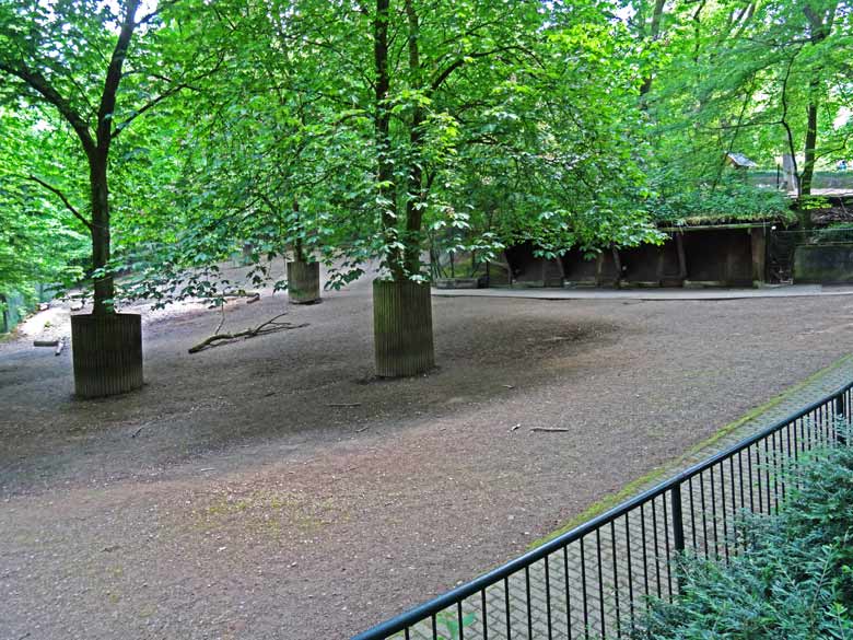 Kiang-Außenanlage ohne sichtbare Kiangs am 26. Mai 2016 im Zoologischen Garten der Stadt Wuppertal