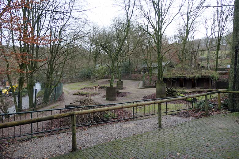 Kiang-Stute YANATSE am 8. Dezember 2021 auf der Außenanlage im Grünen Zoo Wuppertal