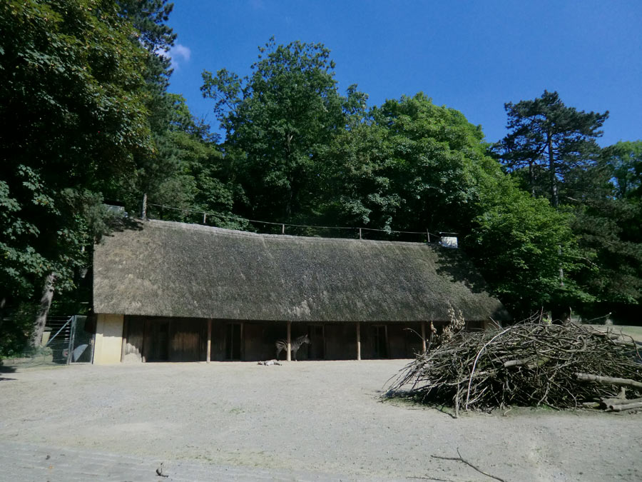 Afrika-Anlage mit Böhmzebras im Zoologischen Garten Wuppertal am 12. Juni 2014