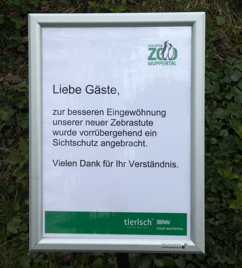 Information zur neuen Zebrastute am 12. April 2019 an der Afrika-Anlage im Grünen Zoo Wuppertal