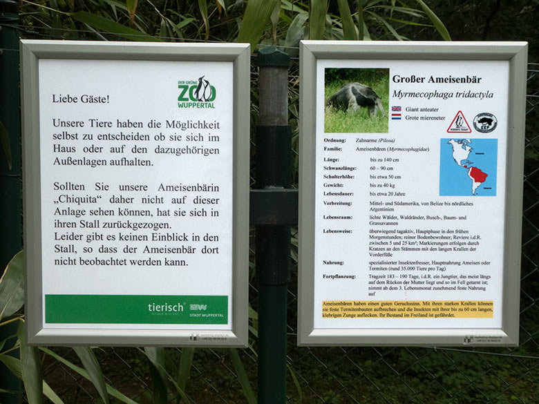 Aushang zur Großen Ameisenbärin CHIQUITA am 14. Juni 2020 an der Außenanlage im Grünen Zoo Wuppertal