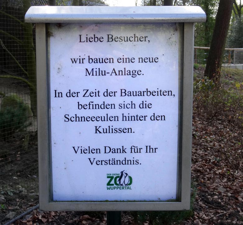 Information  am 15. April 2016 zu den Schneeeulen im Grünen Zoo Wuppertal