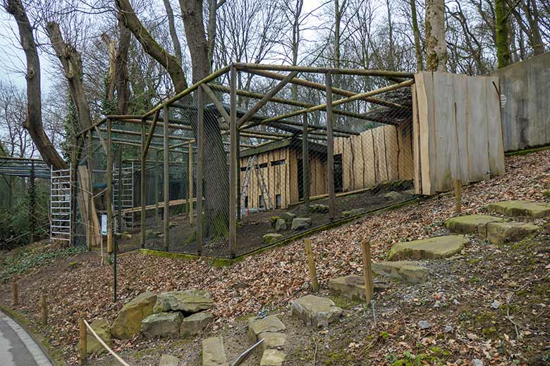 Baustelle der neuen Anlage für Andenkarakaras am 10. März 2021 im Grünen Zoo Wuppertal