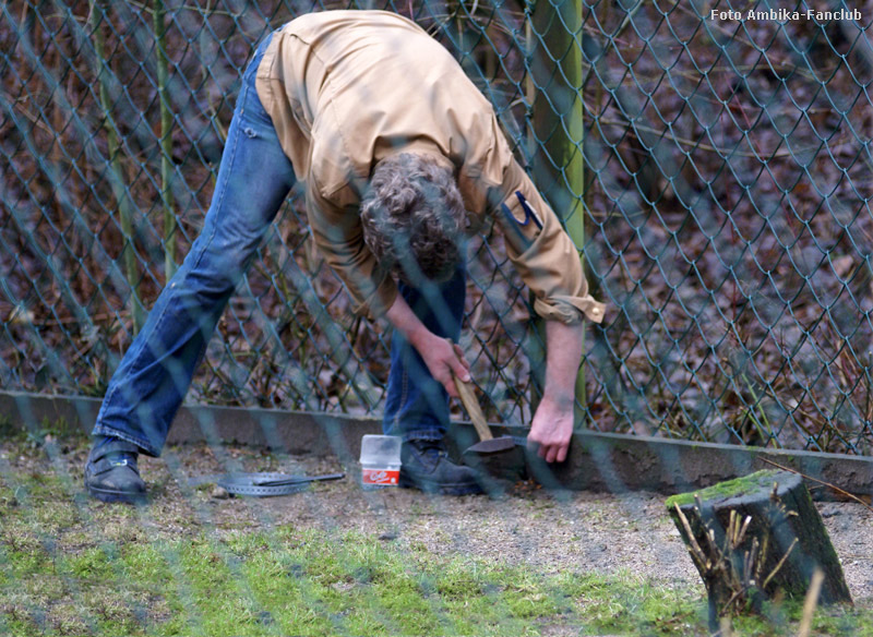 Reparatur im Mönchsgeier-Gehege im Wuppertaler Zoo im Februar 2012 (Foto Ambika-Fanclub)