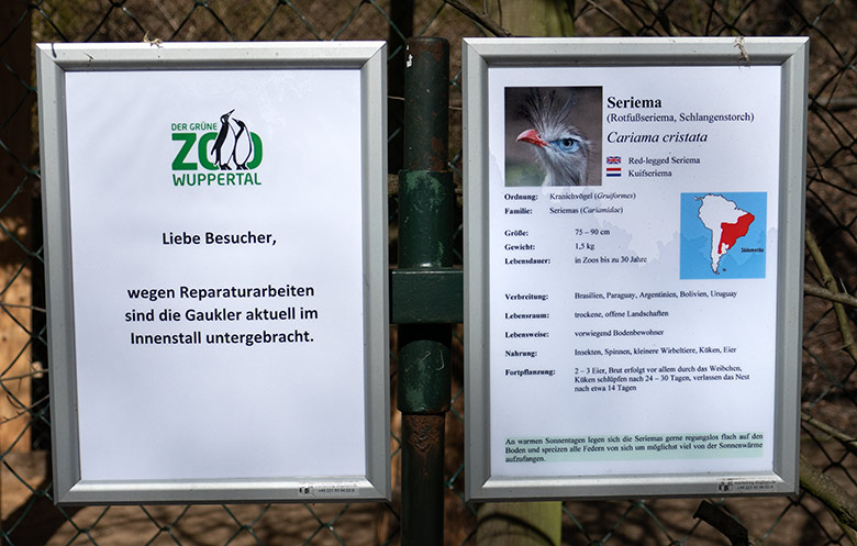 Information zu Gaukler und Rotfußseriema am 19. März 2021 an der linken Außenvoliere am Greifvogel-Haus im Zoo Wuppertal