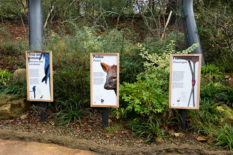 Neue Holz-Rahmen an den Informations-Schildern am 8. November 2021 in der Aralandia-Freiflugvoliere im Grünen Zoo Wuppertal