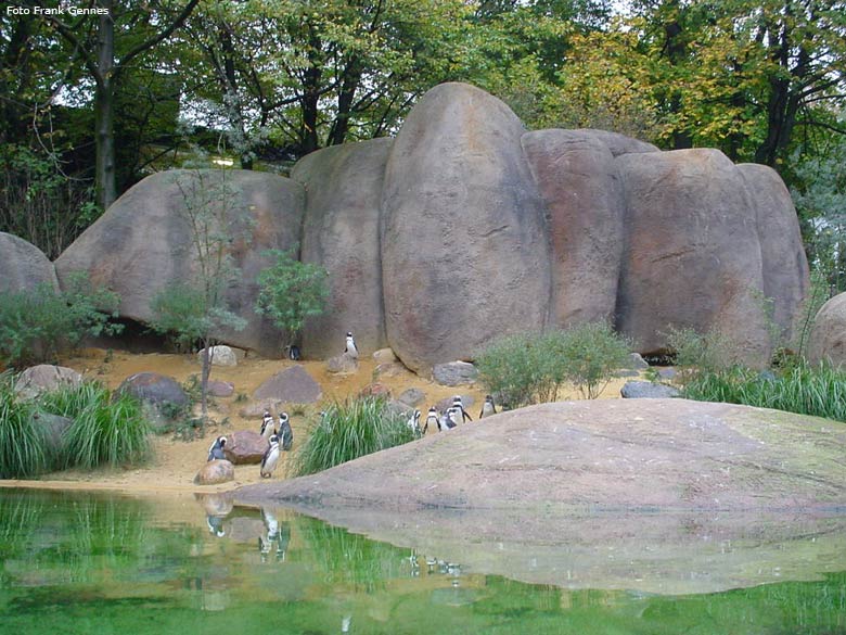 Die neue Anlage für Brillenpinguine im Zoologischen Garten Wuppertal im Oktober 2006 (Foto Frank Gennes)