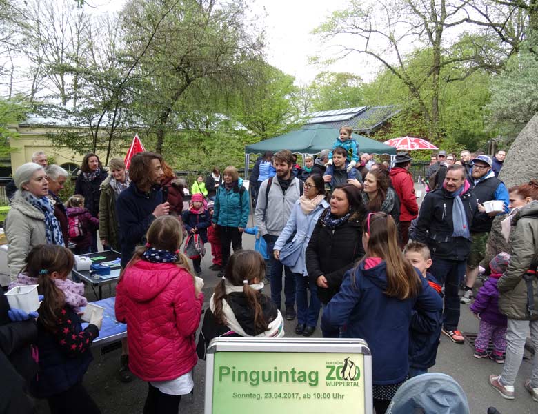 Pinguintag am 23. April 2017 im Grünen Zoo Wuppertal