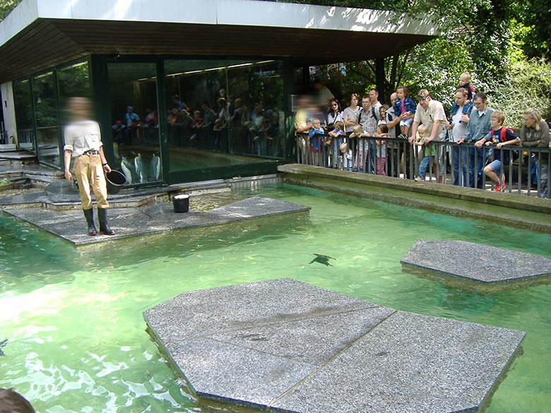 Außenanlage an der alten Pinguin-Anlage am 19. August 2006 im Zoologischen Garten Wuppertal