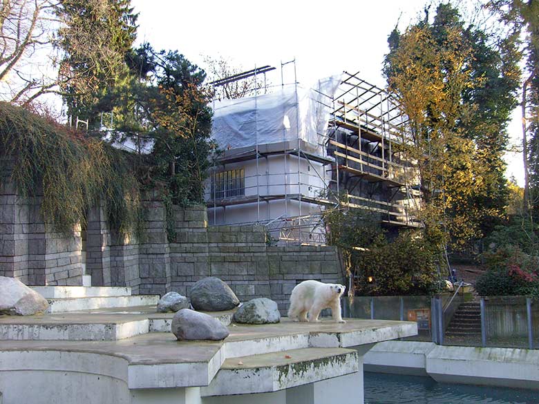 Baustelle des Neubaus des Pinguin-Hauses am 8. November 2008 im Wuppertaler Zoo