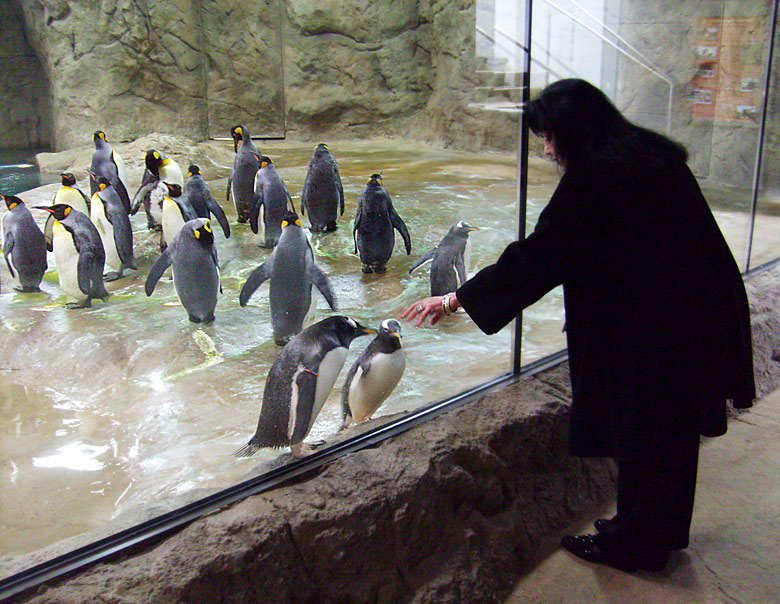 Neue Pinguin-Anlage im Wuppertaler Zoo am 23. März 2009