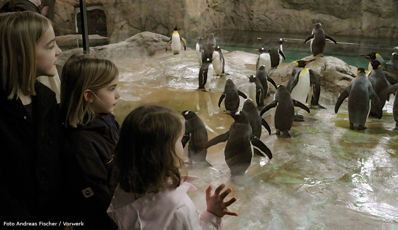 Offizielle Eröffnung der neuen Pinguin-Anlage im Zoo Wuppertal am 23. März 2009 (Foto Andreas Fischer / Vorwerk)