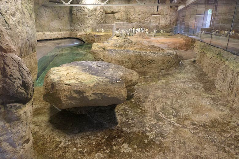 Innenanlage mit wenig Wasser am 16. Februar 2022 im Pinguin-Haus im Grünen Zoo Wuppertal