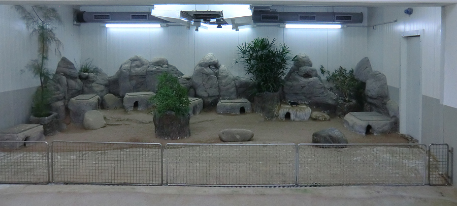 Anlage für Zwergpinguine im Zoo Wuppertal am 24. Juli 2012