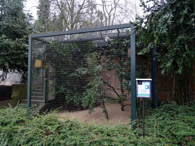 Voliere der Jägerlieste am 25. März 2016 im Zoologischen Garten der Stadt Wuppertal