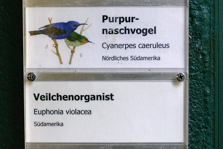 Unvollständige Ausschilderung der Vogelart Veilchenorganist am 23. Oktober 2022 im Vogel-Haus im Wuppertaler Zoo