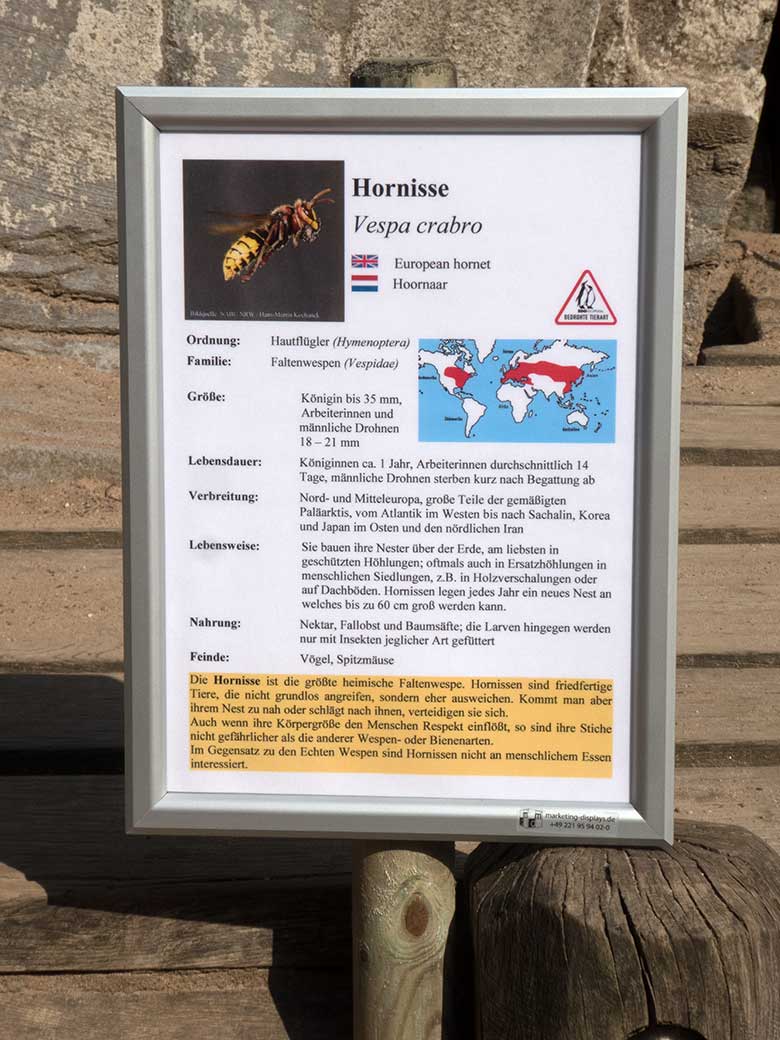 Tierarten-Schild zu Hornisse am 13. Juli 2020 am Wasser-Spielplatz in der Nähe des Tiger-Tals im Zoologischen Garten Wuppertal